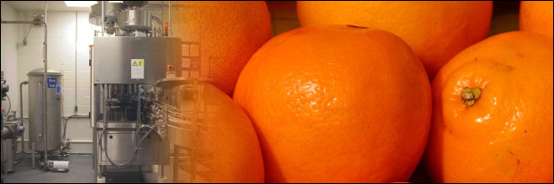 Целулозу добовляют в продукты