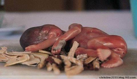 Человеческий эмбрион вошел в список Китайских деликотесов