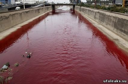 Кровавая река в Бейруте