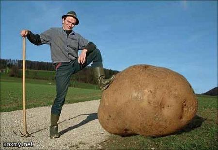 Земля имеет картофелевидную форму